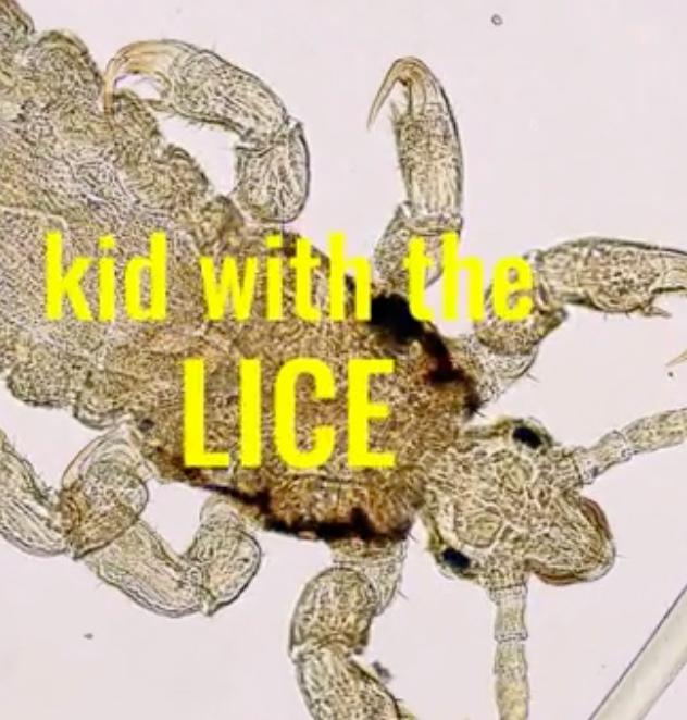  School Head Lice Outbreaks & Community Solutions